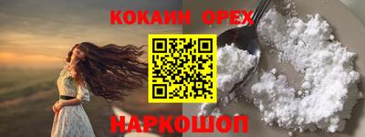 стаф Можга