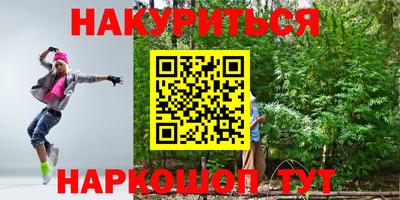 стаф Можга