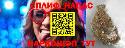 стаф Можга