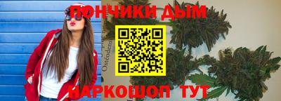 стаф Можга
