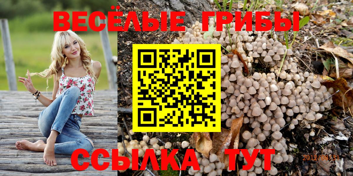 Сызрань  купить наркотики цена  Вход с VPN  Галлюциногенные грибы Cubensis 